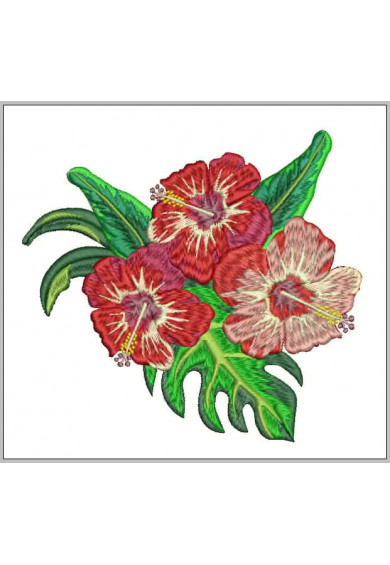 Plf032 - 5 X 7 - Hibiscus branch